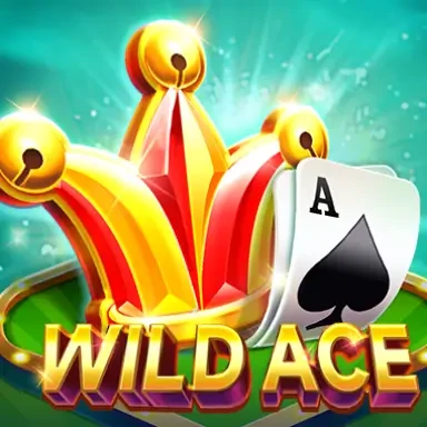DU88 Wild Ace